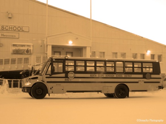 arctic school bus