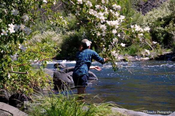 Maia on Deschutes
