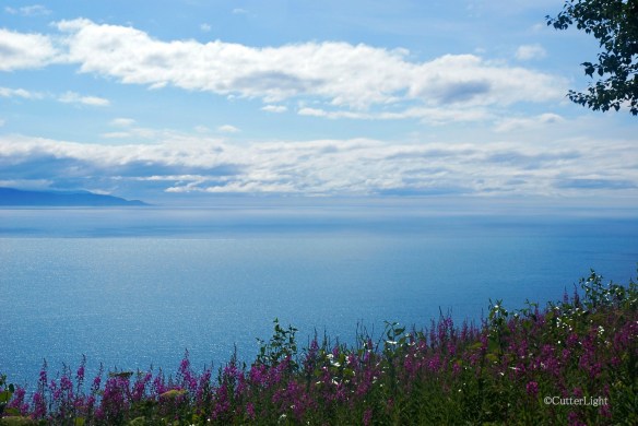 Lower Cook Inlet near Homer_n