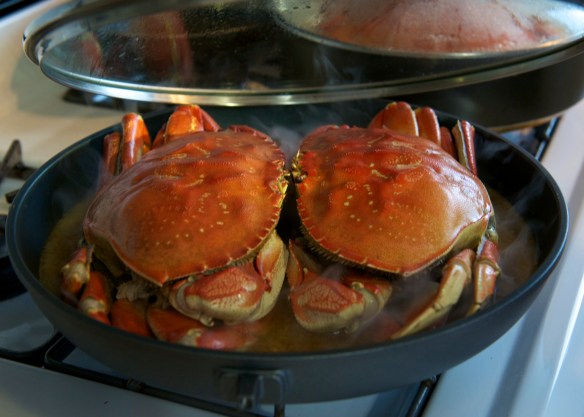 crabs honeymoon d800