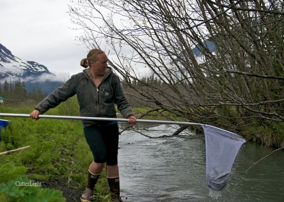 hooligan krystin b_n