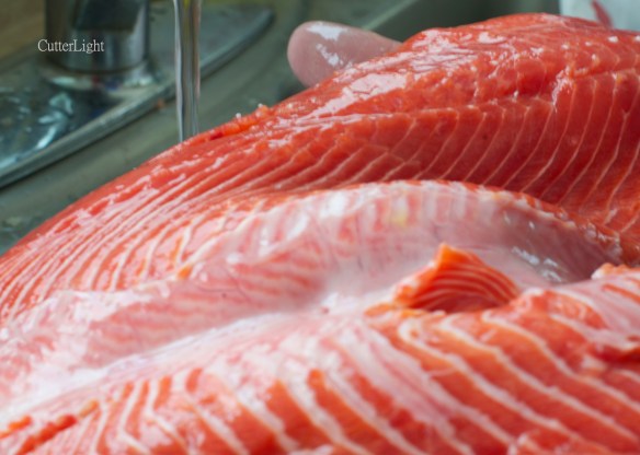 sockeye with running tap_n