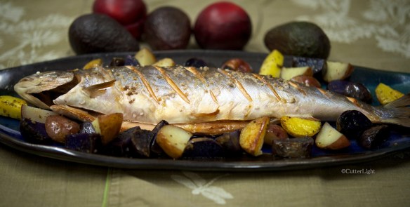 dolly varden shioyaki_n