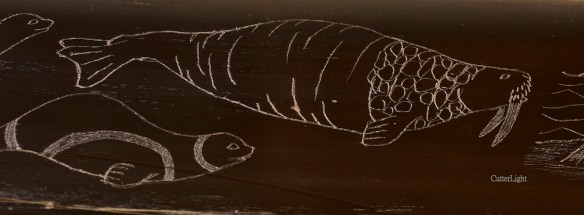 HK walrus skrimshaw detail n