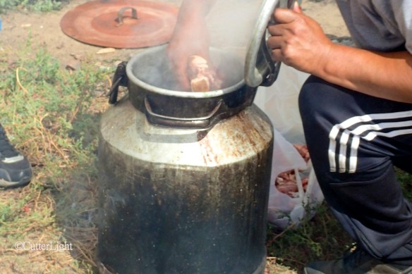 OLYMPUS DIGITAL CAMERA