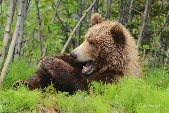 Grizzley admiring nails n