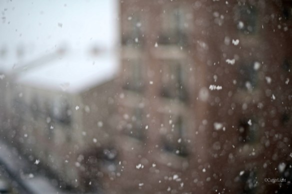 Snow and a Memory of Snow n