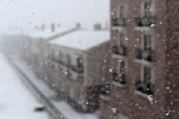 UB apt row snowy day b n