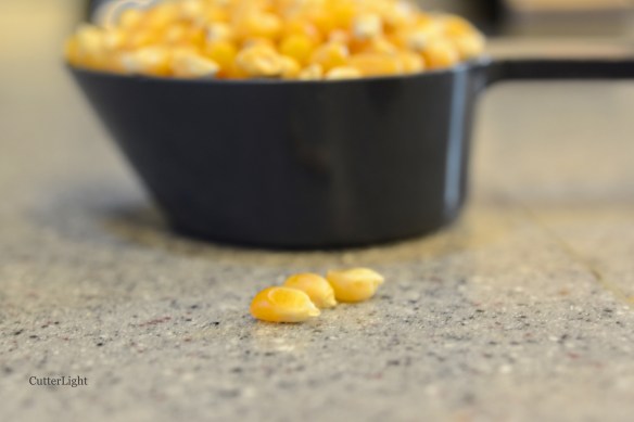 popcorn third cup 3 seeds n