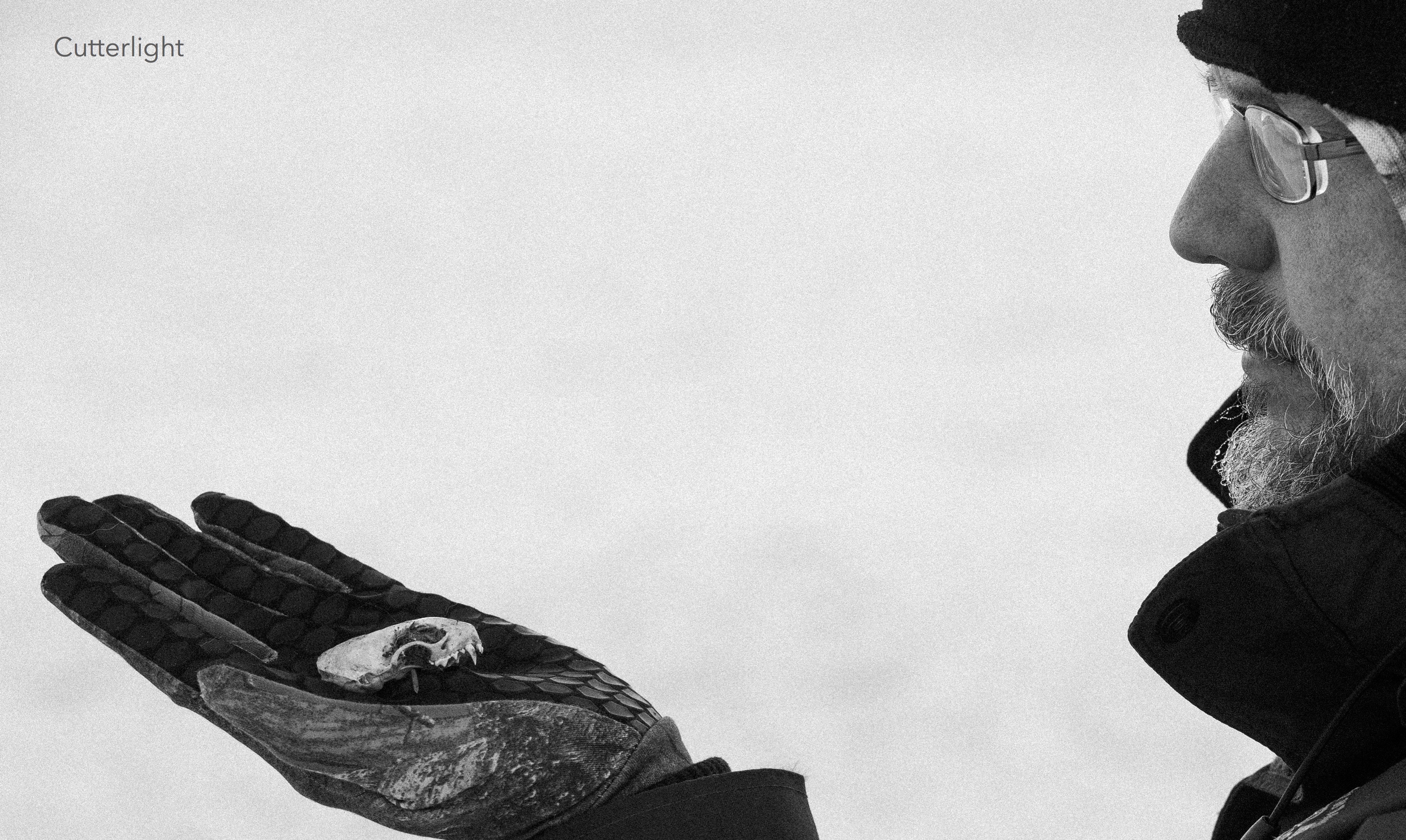 weasel-skull-02-2017-n