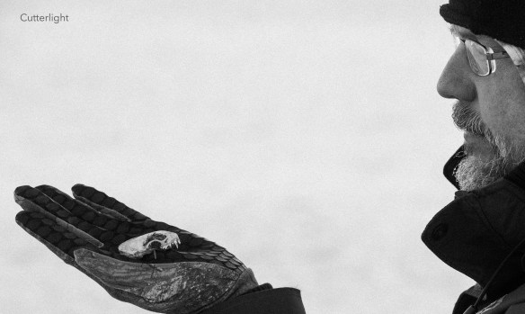 weasel-skull-02-2017-n