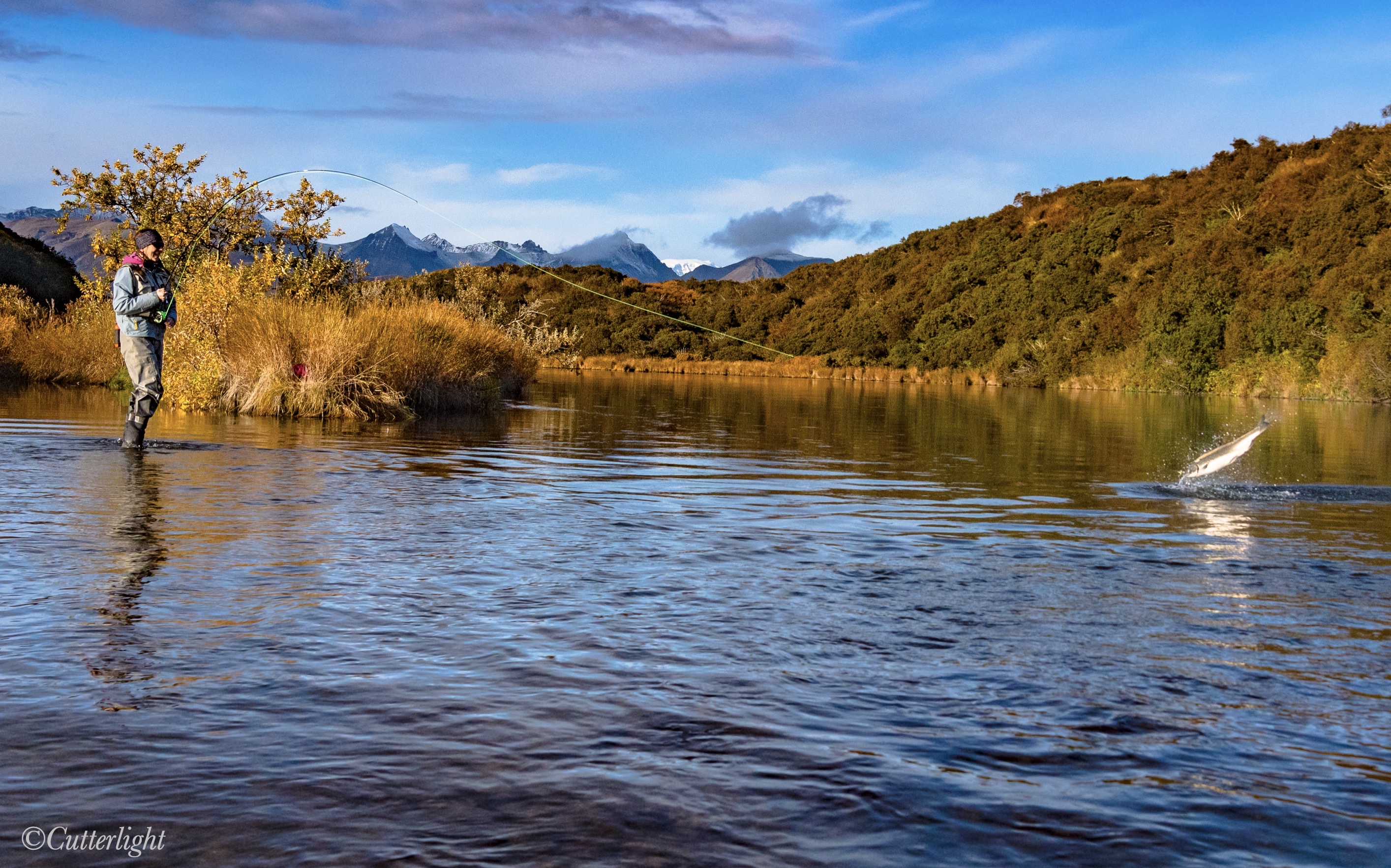 Chignik Salmon fly fishing
