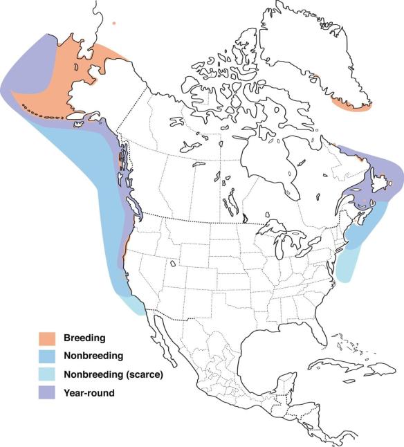 Range Map Common Murre