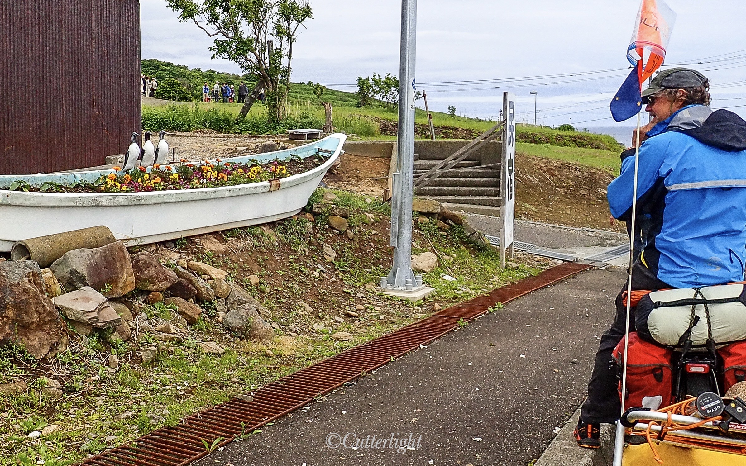 Teuri Island Murres Flowerbed